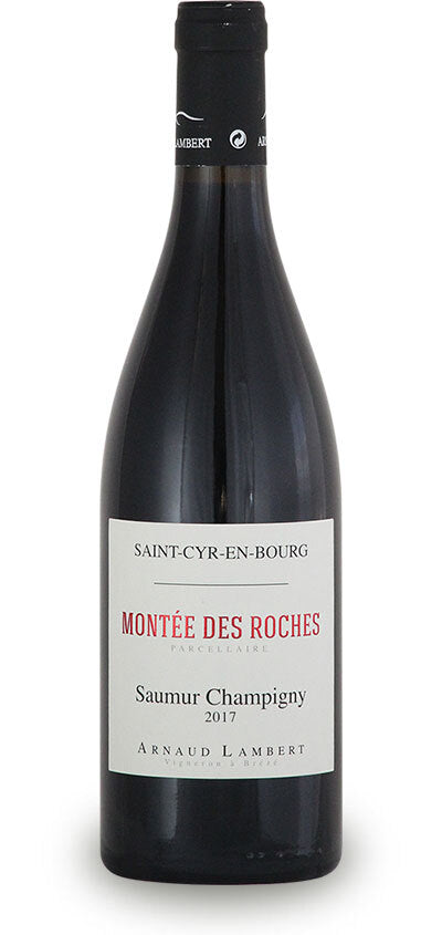 Arnaud Lambert Montee des Roches 2017